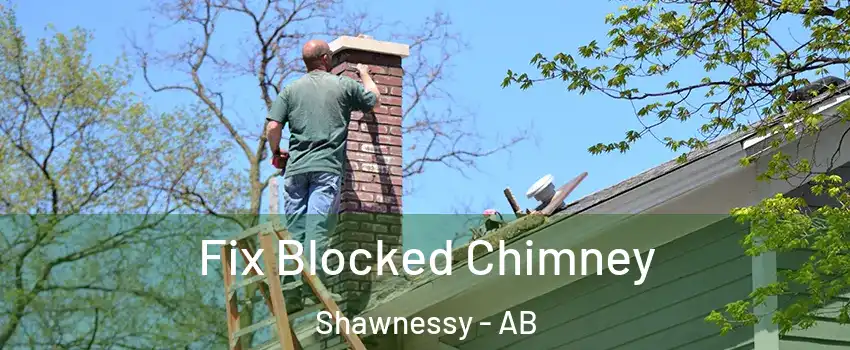  Fix Blocked Chimney Shawnessy - AB