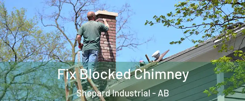  Fix Blocked Chimney Shepard Industrial - AB