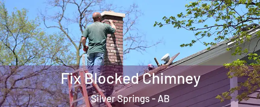  Fix Blocked Chimney Silver Springs - AB
