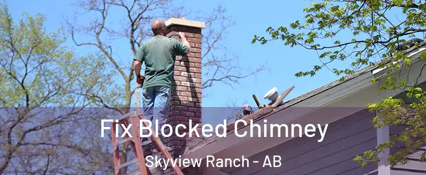  Fix Blocked Chimney Skyview Ranch - AB