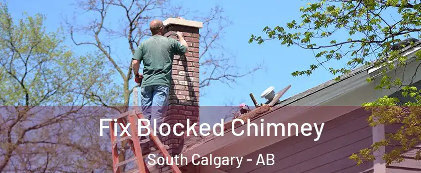  Fix Blocked Chimney South Calgary - AB