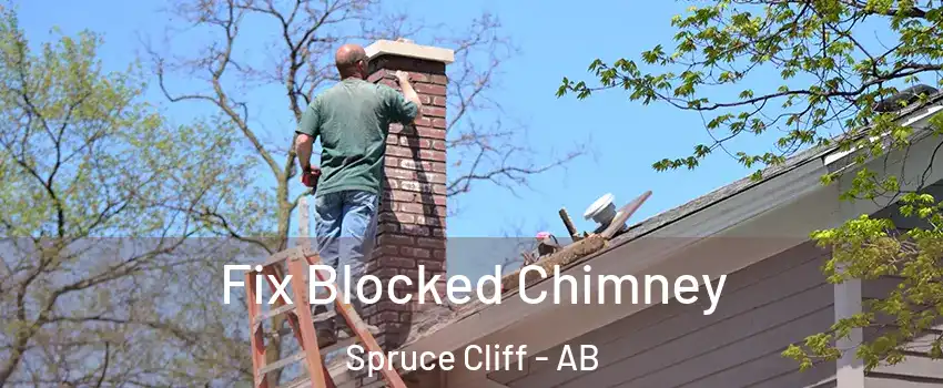  Fix Blocked Chimney Spruce Cliff - AB