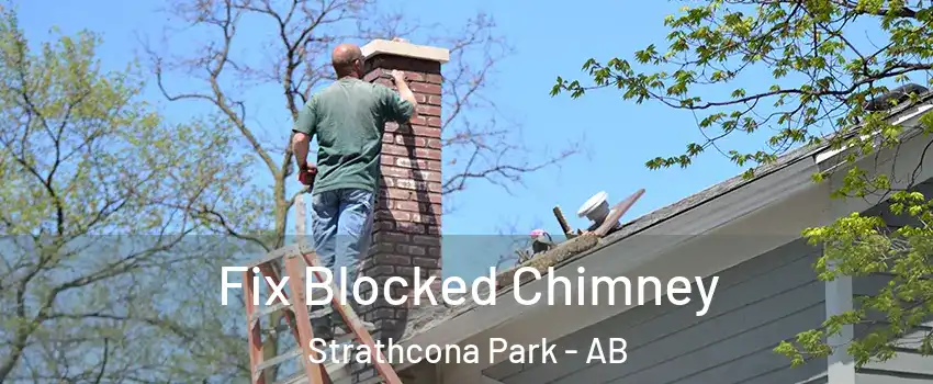  Fix Blocked Chimney Strathcona Park - AB