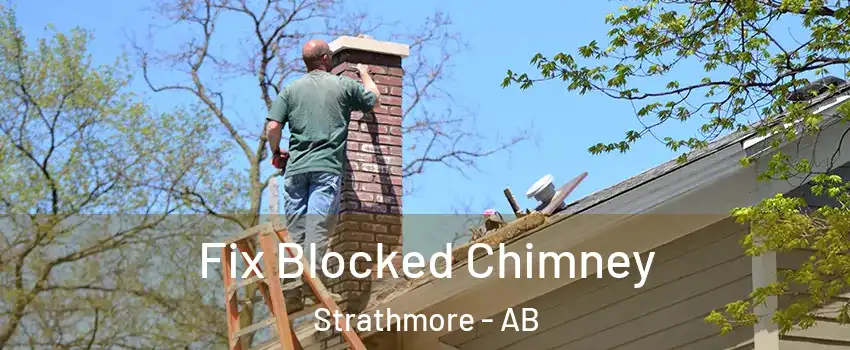  Fix Blocked Chimney Strathmore - AB