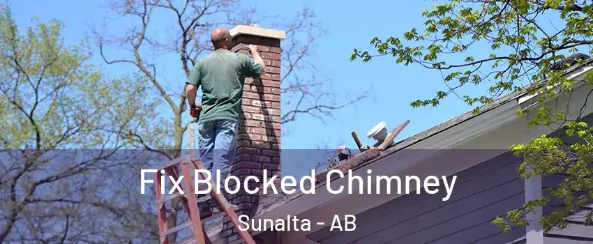  Fix Blocked Chimney Sunalta - AB