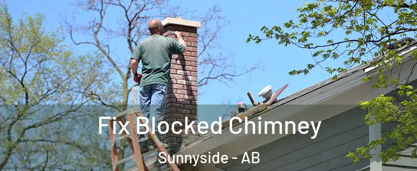 Fix Blocked Chimney Sunnyside - AB