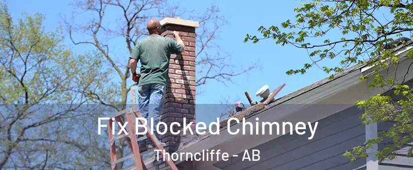  Fix Blocked Chimney Thorncliffe - AB