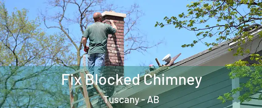  Fix Blocked Chimney Tuscany - AB