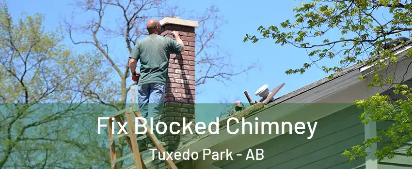  Fix Blocked Chimney Tuxedo Park - AB