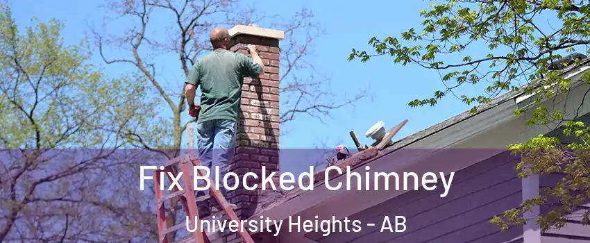 Fix Blocked Chimney University Heights - AB