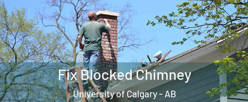  Fix Blocked Chimney University of Calgary - AB