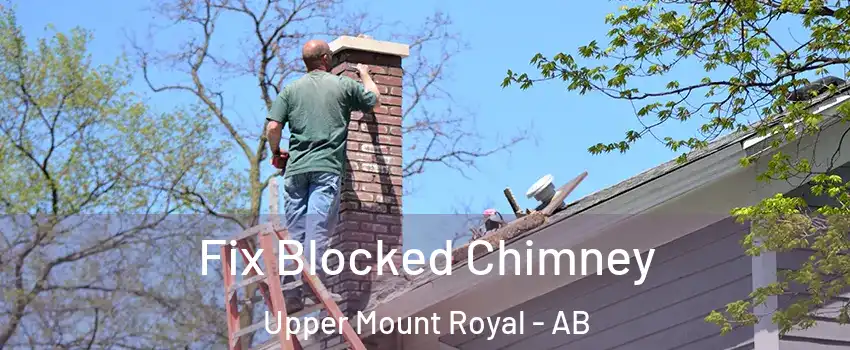  Fix Blocked Chimney Upper Mount Royal - AB