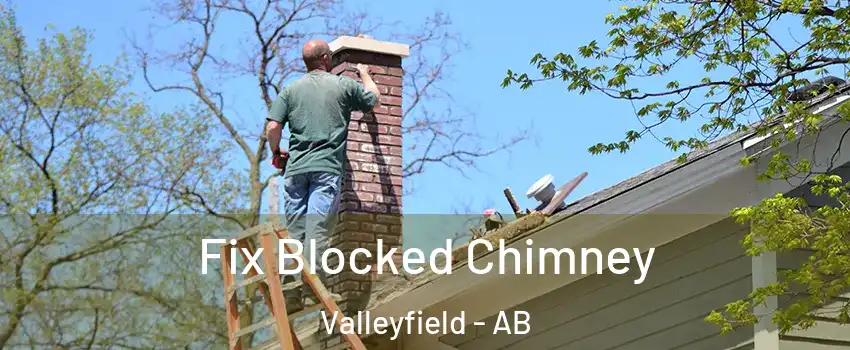  Fix Blocked Chimney Valleyfield - AB