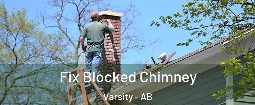  Fix Blocked Chimney Varsity - AB