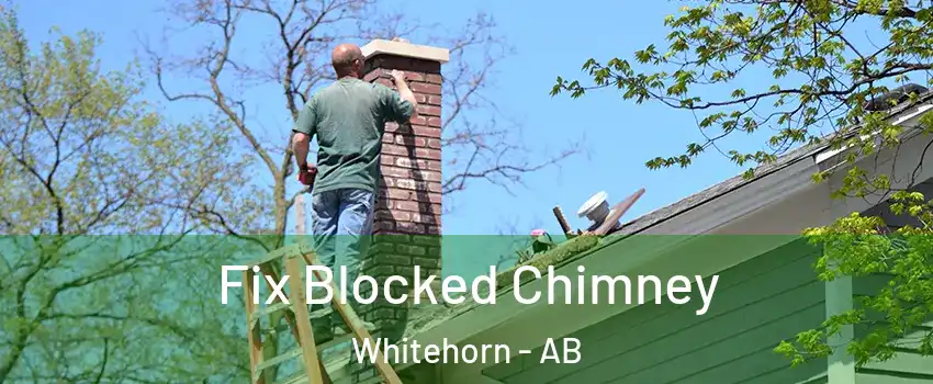  Fix Blocked Chimney Whitehorn - AB