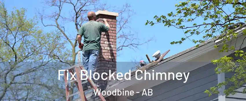  Fix Blocked Chimney Woodbine - AB