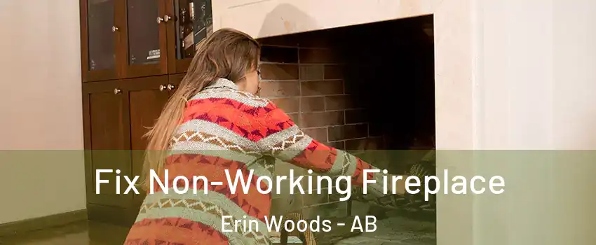  Fix Non-Working Fireplace Erin Woods - AB