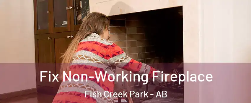  Fix Non-Working Fireplace Fish Creek Park - AB