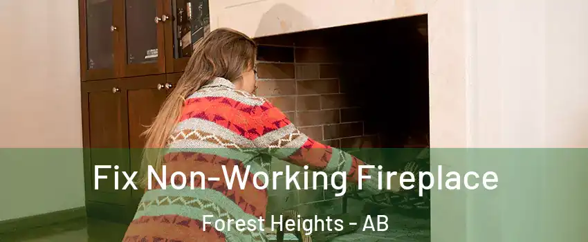  Fix Non-Working Fireplace Forest Heights - AB