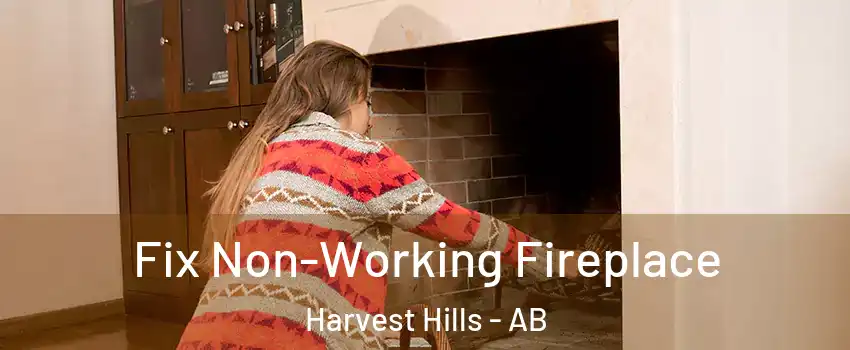  Fix Non-Working Fireplace Harvest Hills - AB