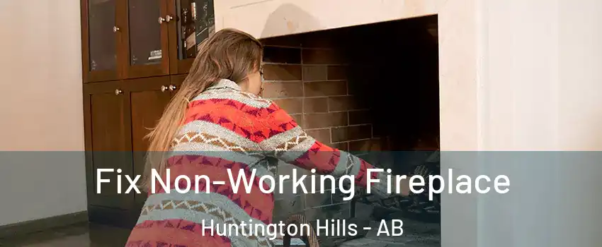  Fix Non-Working Fireplace Huntington Hills - AB