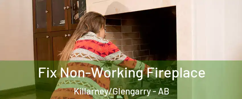  Fix Non-Working Fireplace Killarney/Glengarry - AB