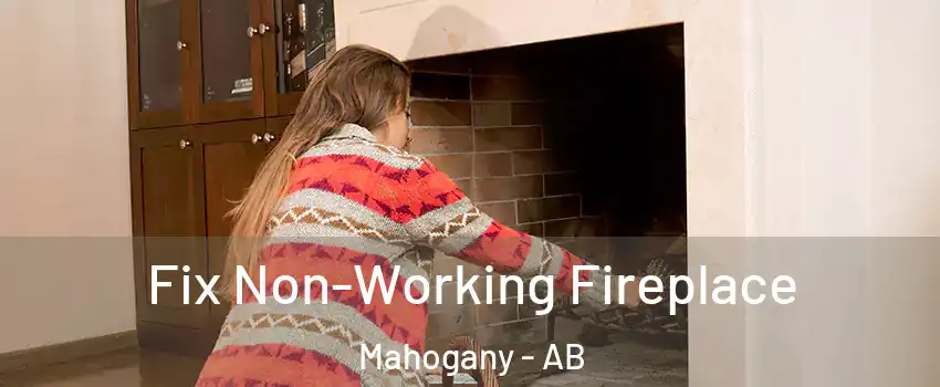  Fix Non-Working Fireplace Mahogany - AB