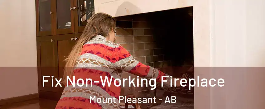  Fix Non-Working Fireplace Mount Pleasant - AB