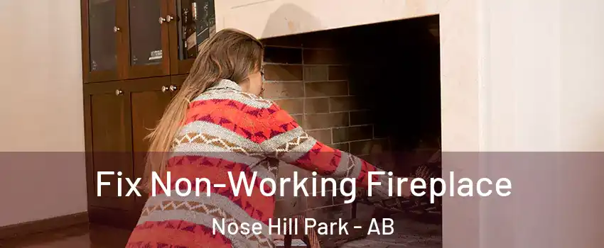  Fix Non-Working Fireplace Nose Hill Park - AB
