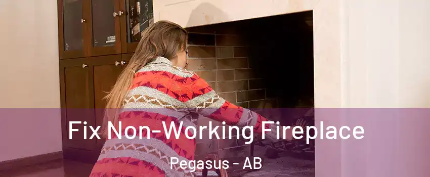  Fix Non-Working Fireplace Pegasus - AB