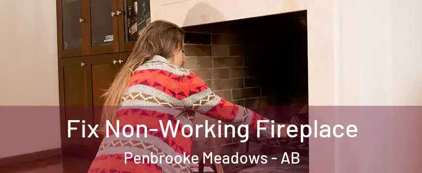  Fix Non-Working Fireplace Penbrooke Meadows - AB