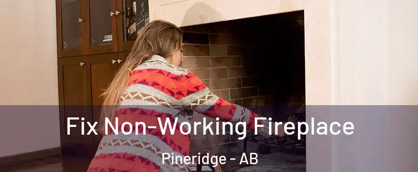  Fix Non-Working Fireplace Pineridge - AB