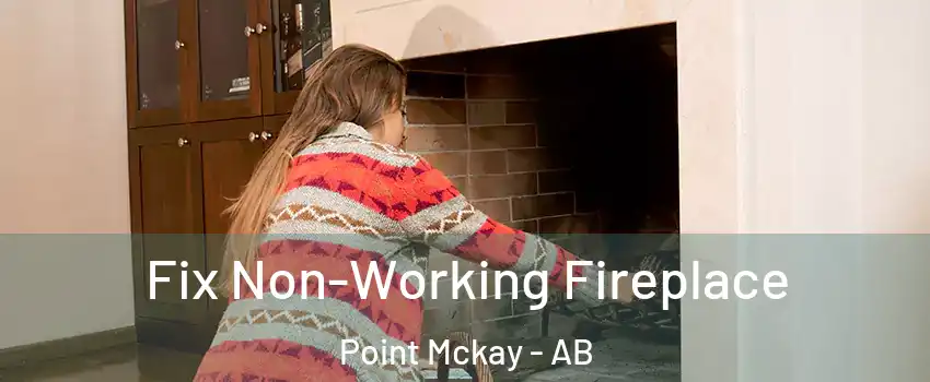  Fix Non-Working Fireplace Point Mckay - AB