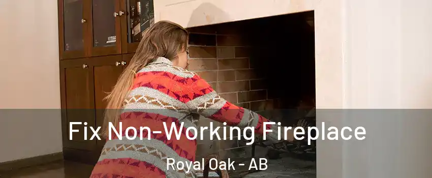  Fix Non-Working Fireplace Royal Oak - AB