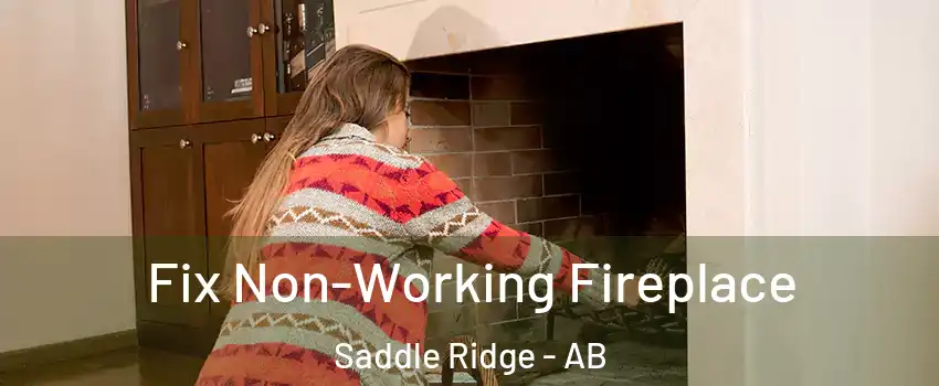  Fix Non-Working Fireplace Saddle Ridge - AB
