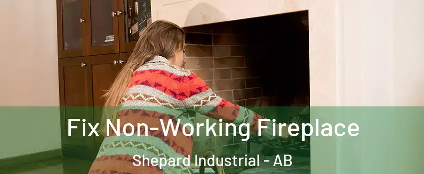  Fix Non-Working Fireplace Shepard Industrial - AB