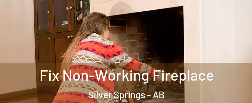  Fix Non-Working Fireplace Silver Springs - AB