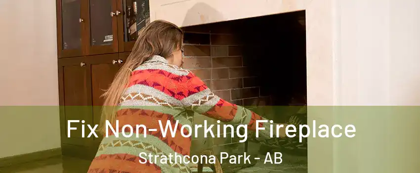  Fix Non-Working Fireplace Strathcona Park - AB