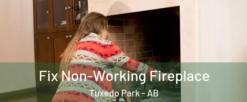  Fix Non-Working Fireplace Tuxedo Park - AB