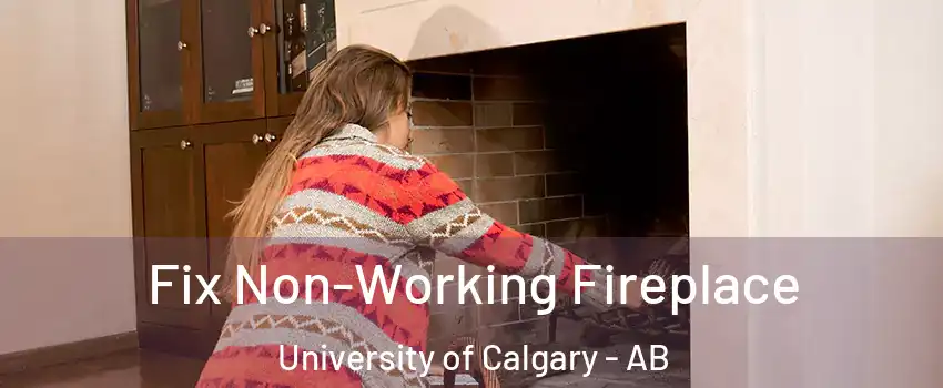  Fix Non-Working Fireplace University of Calgary - AB