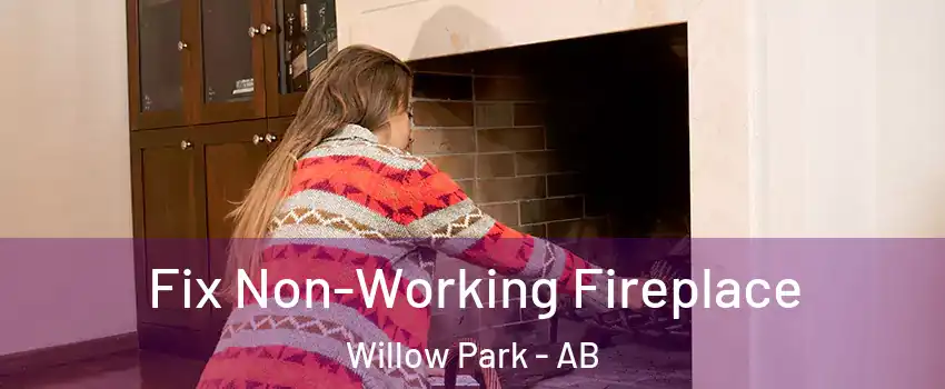  Fix Non-Working Fireplace Willow Park - AB
