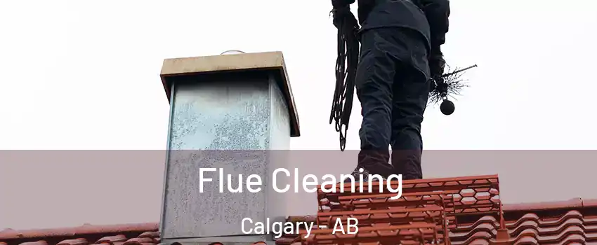  Flue Cleaning Calgary - AB
