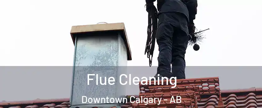  Flue Cleaning Downtown Calgary - AB