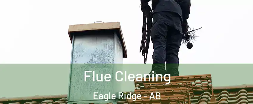  Flue Cleaning Eagle Ridge - AB