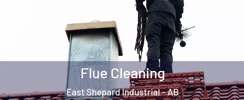  Flue Cleaning East Shepard Industrial - AB