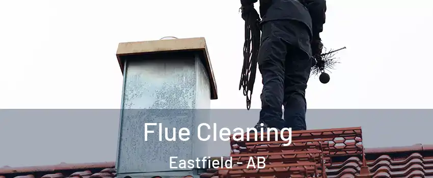  Flue Cleaning Eastfield - AB