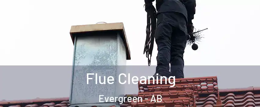  Flue Cleaning Evergreen - AB