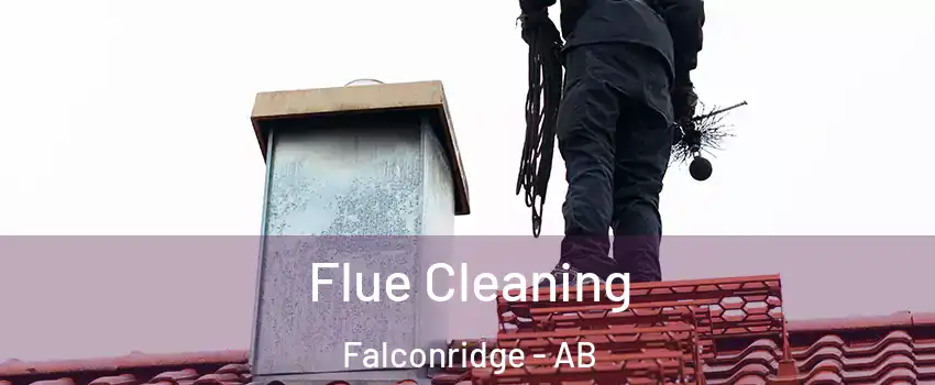  Flue Cleaning Falconridge - AB