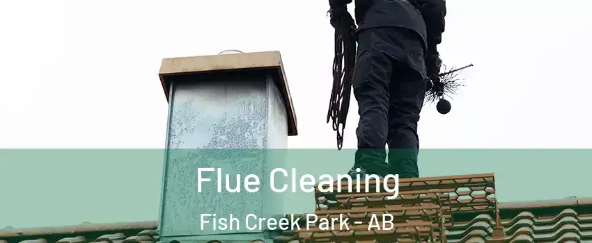  Flue Cleaning Fish Creek Park - AB