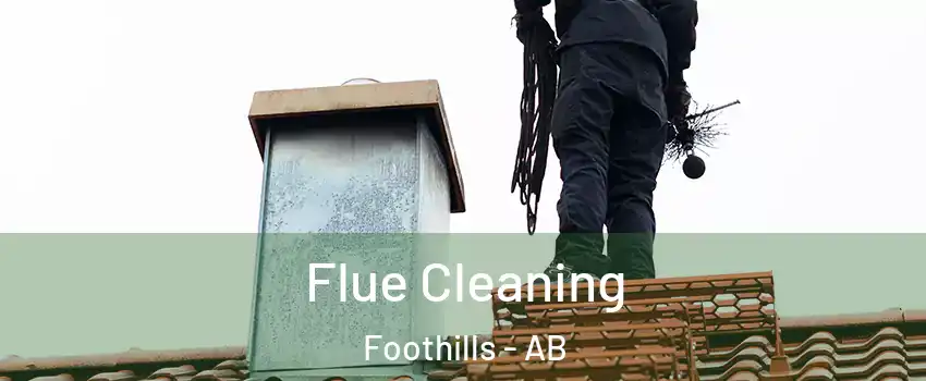  Flue Cleaning Foothills - AB